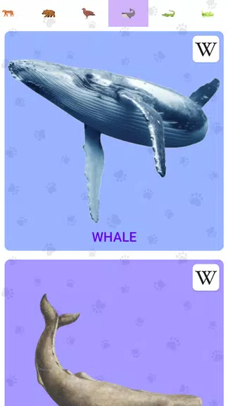 Animal Sounds Screenshot 3