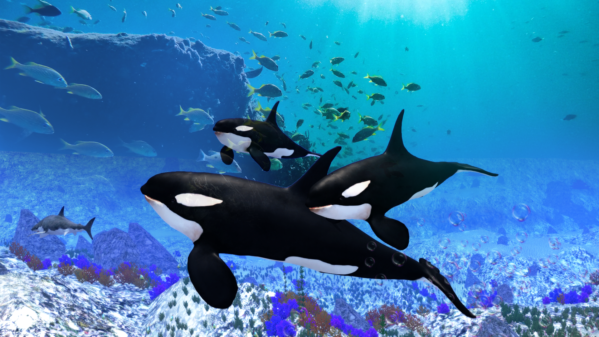 The Killer Whale Screenshot 3