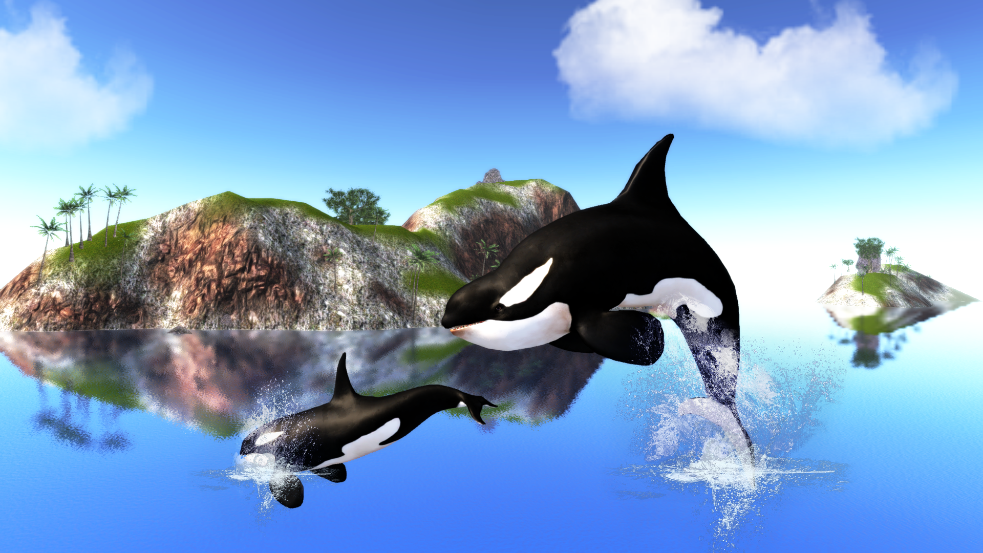 The Killer Whale Screenshot 1