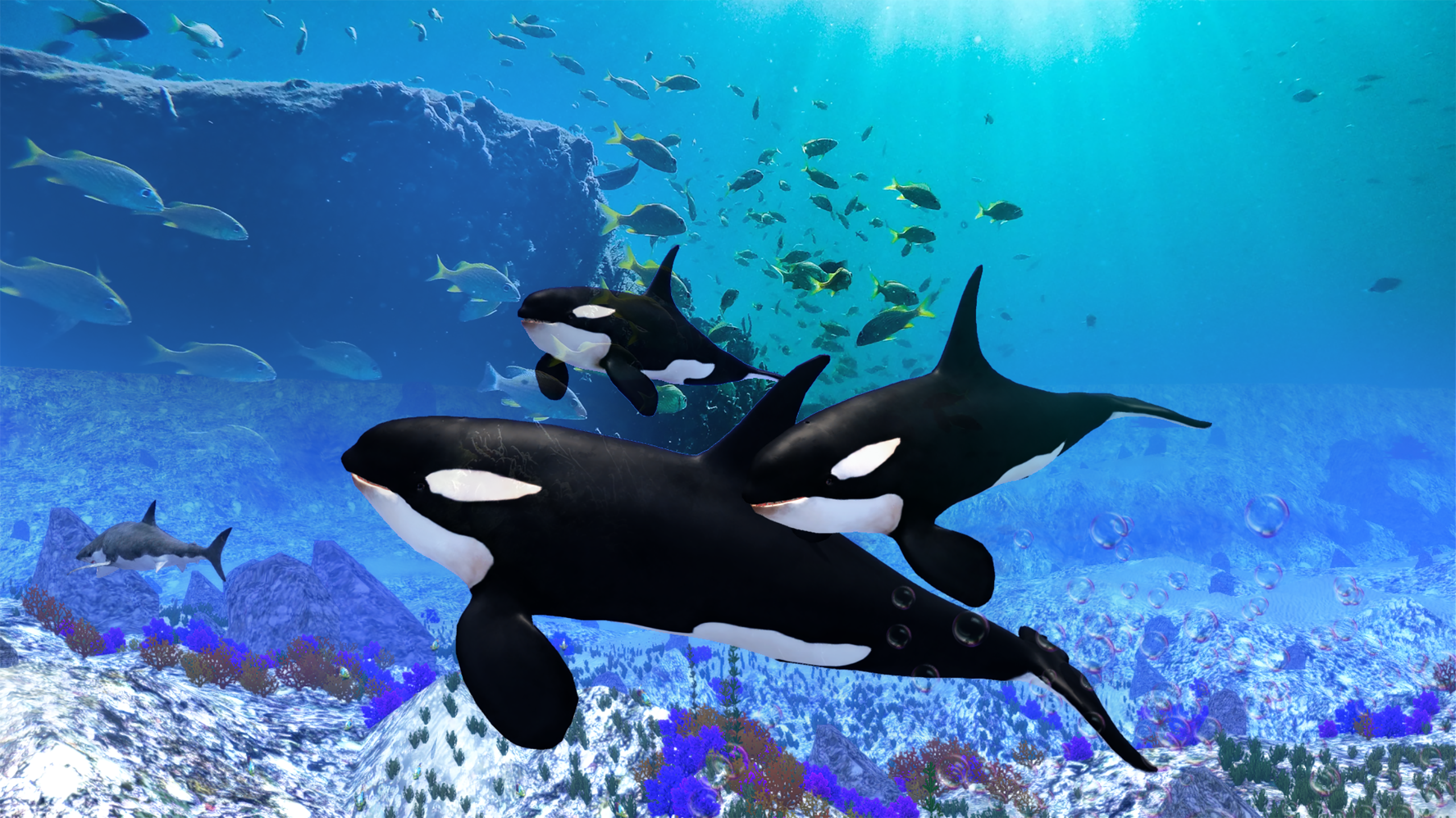 The Killer Whale Screenshot 11