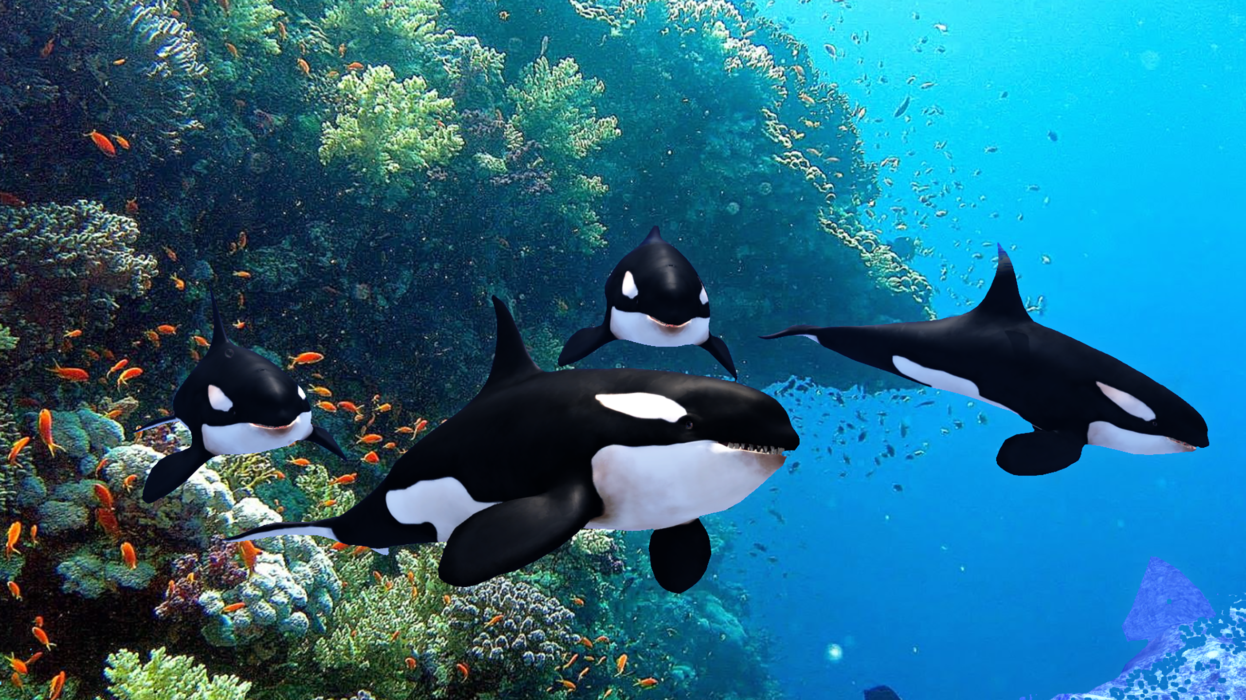 The Killer Whale Screenshot 15