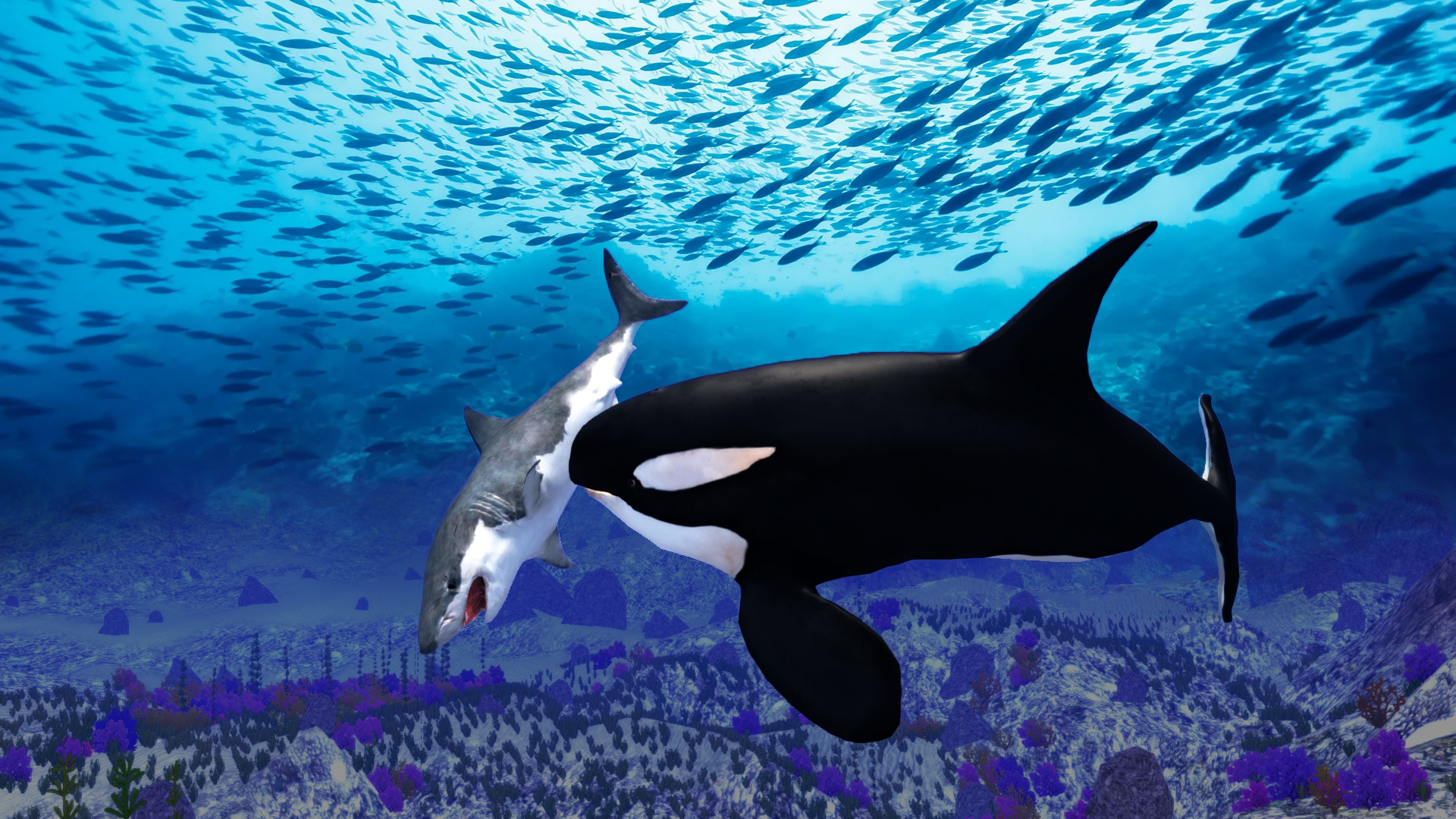 The Killer Whale Screenshot 6