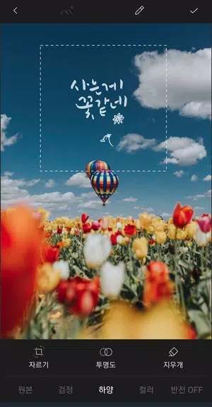 CalliFactory Screenshot 2