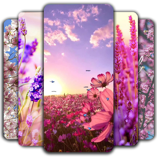 Spring Wallpaper APK