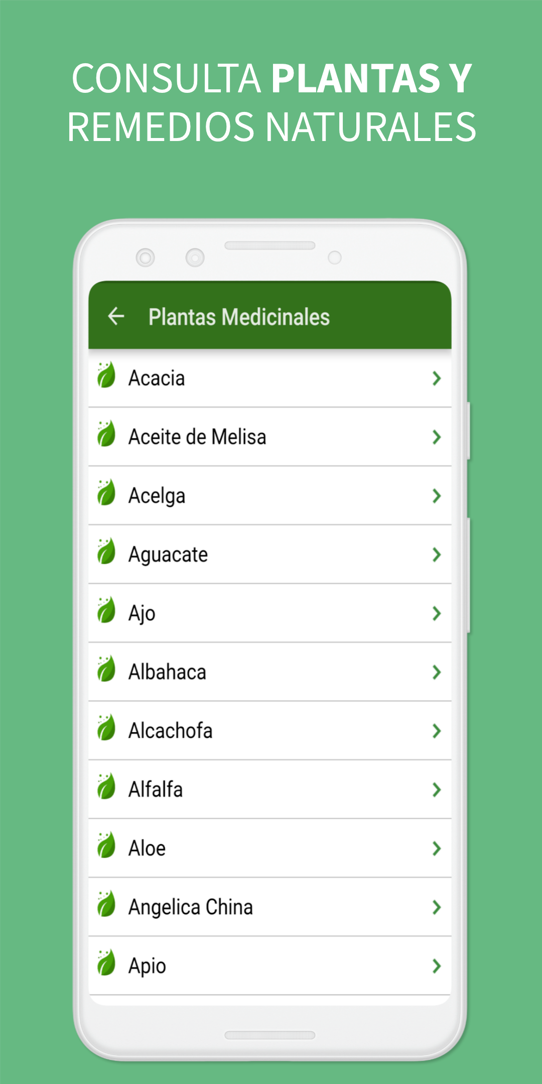Medicinal Plants and Remedies Screenshot 2