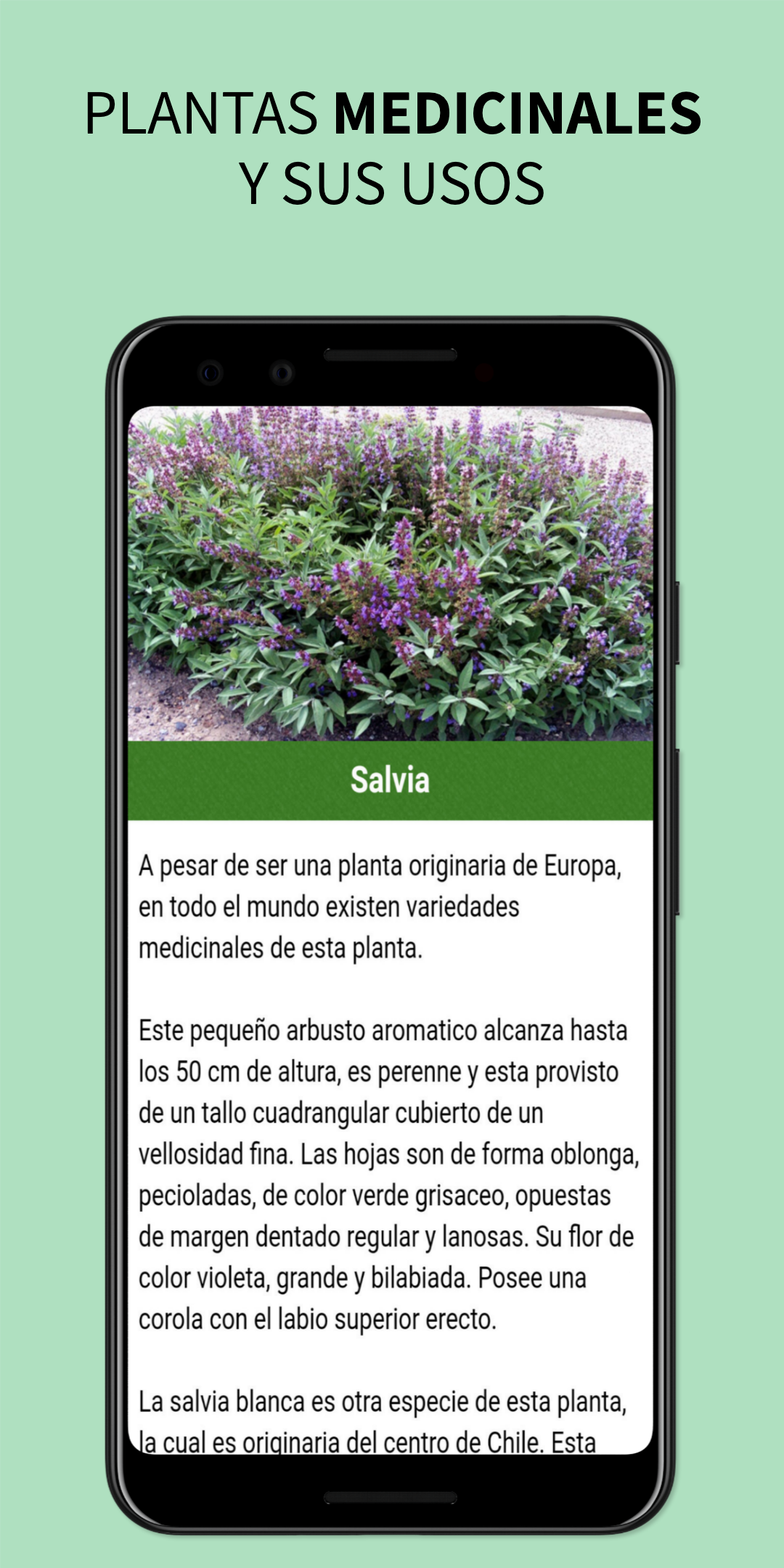 Medicinal Plants and Remedies Screenshot 7