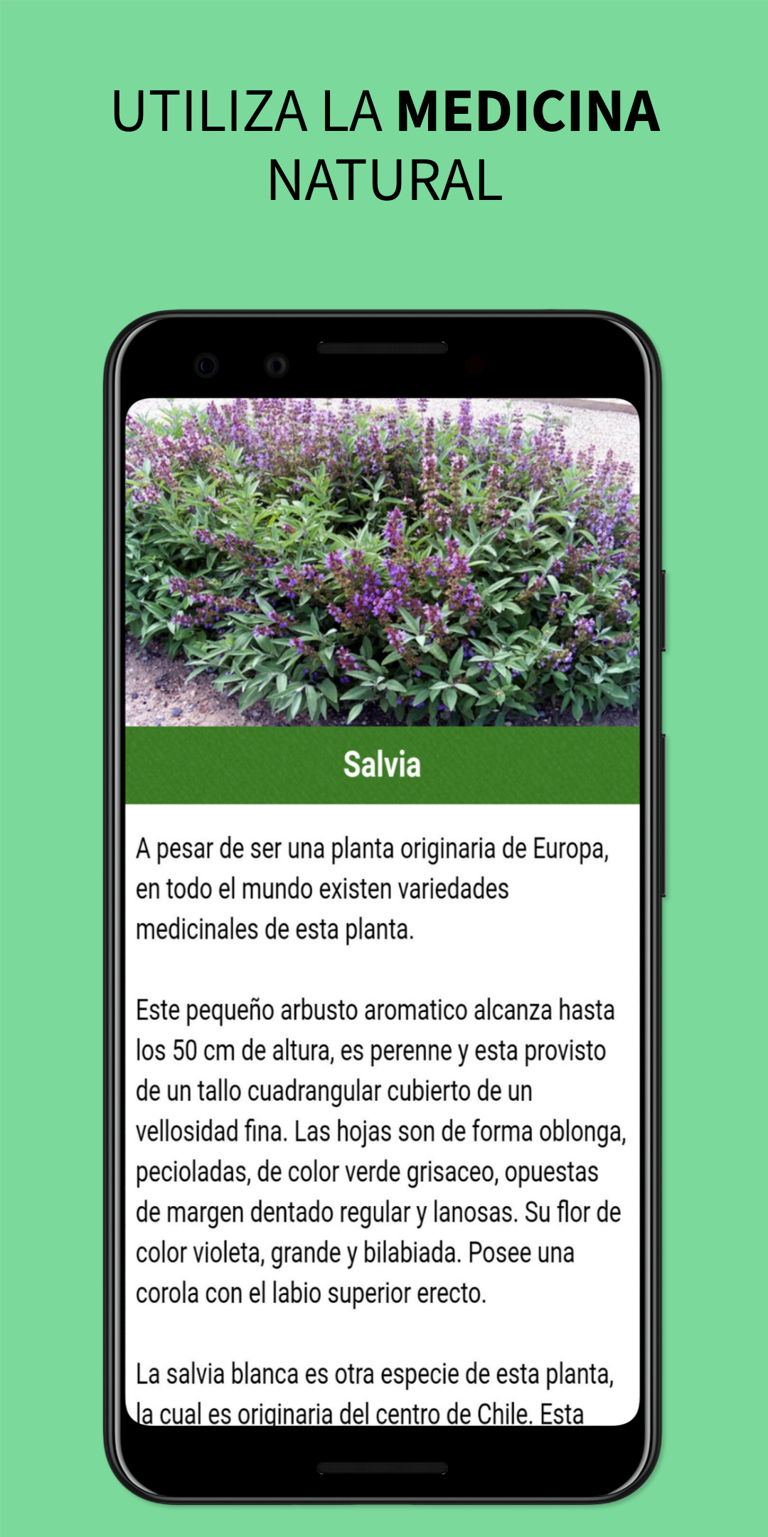 Medicinal Plants and Remedies Screenshot 3