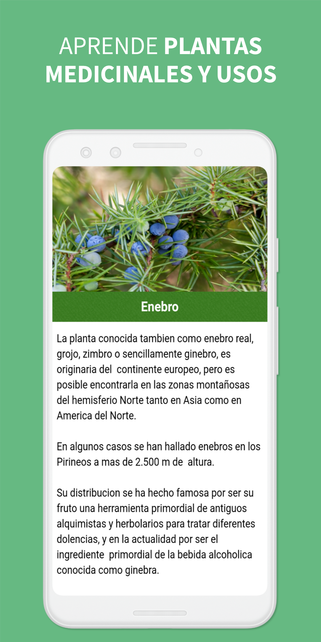 Medicinal Plants and Remedies Screenshot 1