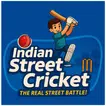 GWS Indian Street Cricket APK