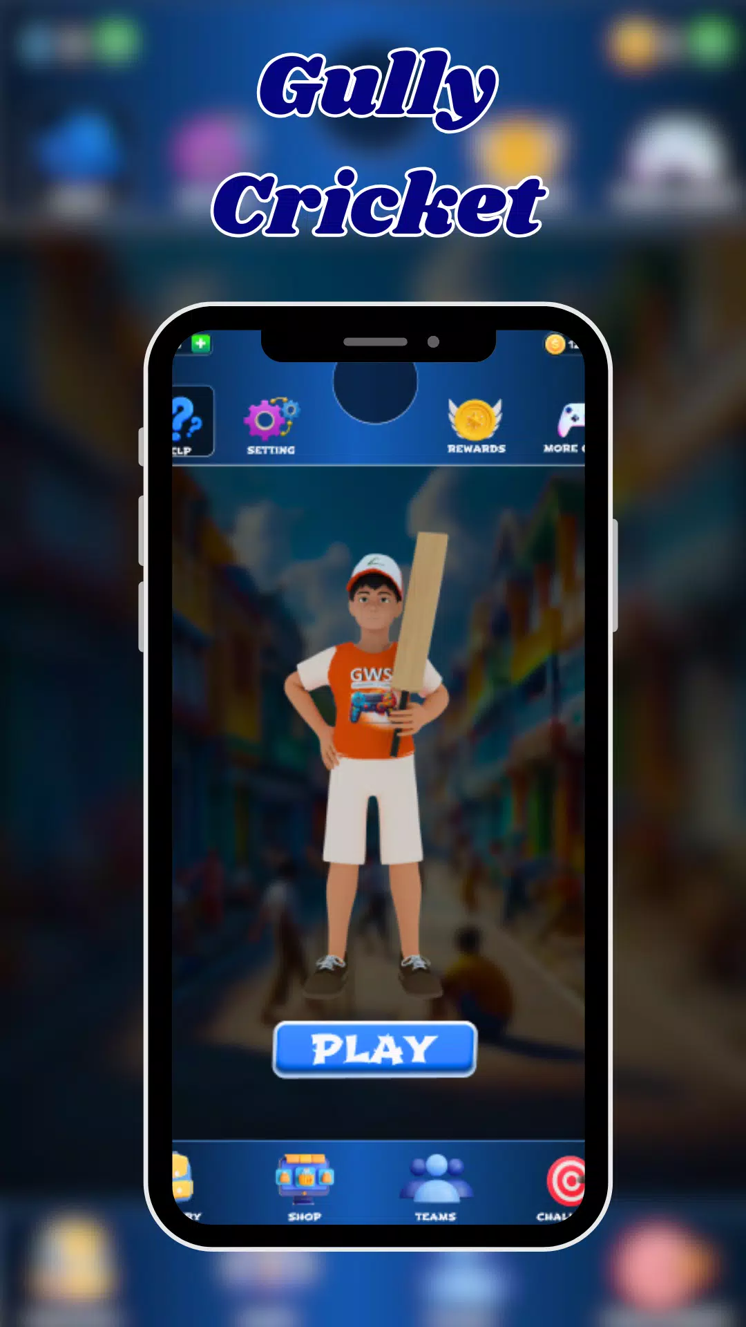 GWS Indian Street Cricket Screenshot 2