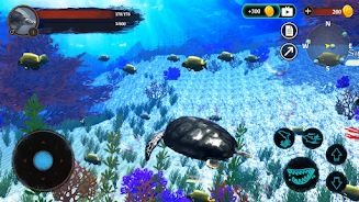 The Turtle Screenshot 6