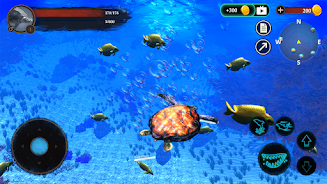 The Turtle Screenshot 7