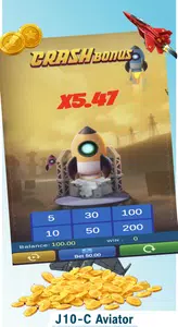 J10-C Aviator Screenshot 2