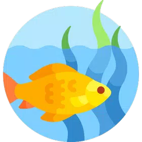 FishFlash: Rescue Adventure Topic
