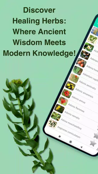 Medicinal Plants & Herbs Guide Screenshot 1