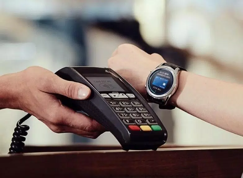 Samsung Wallet/Pay (Watch) Screenshot 1