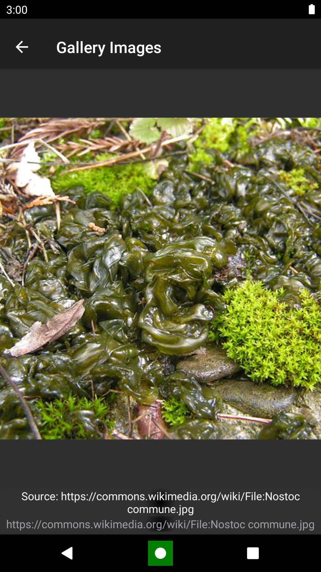 Bacteria: Types, Infections Screenshot 3