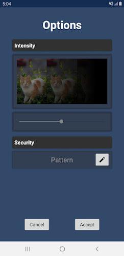 Lock touch screen for video Screenshot 2