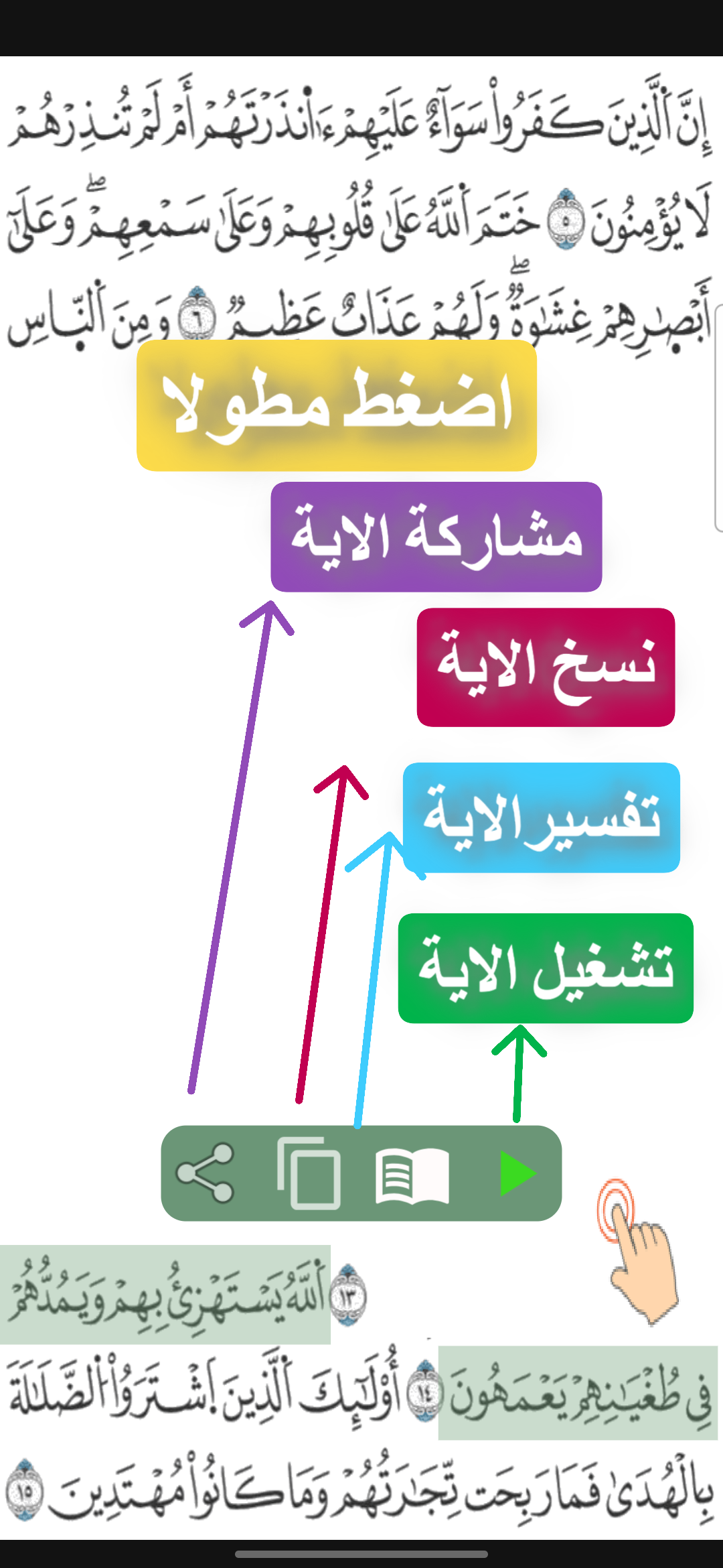 قرآن  |  ورش التجويد Screenshot 6