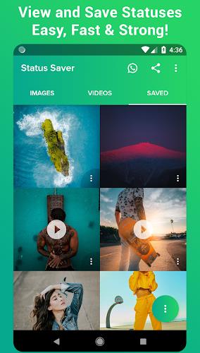 Status Downloader Saver Screenshot 5