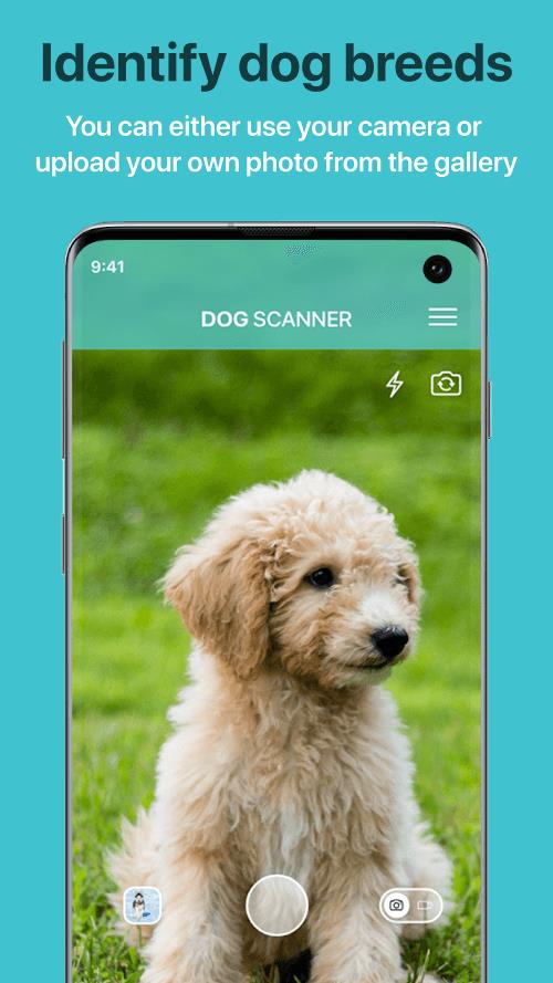 Dog Scanner Screenshot 1
