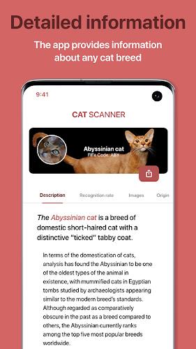 Cat Scanner: Breed Recognition Screenshot 8