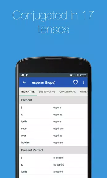 French Verb Conjugator Screenshot 3
