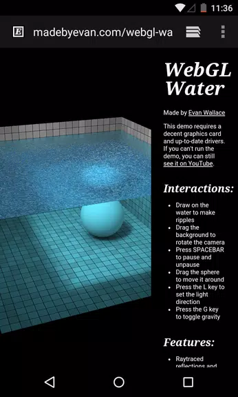 Android System WebView Canary Screenshot 3