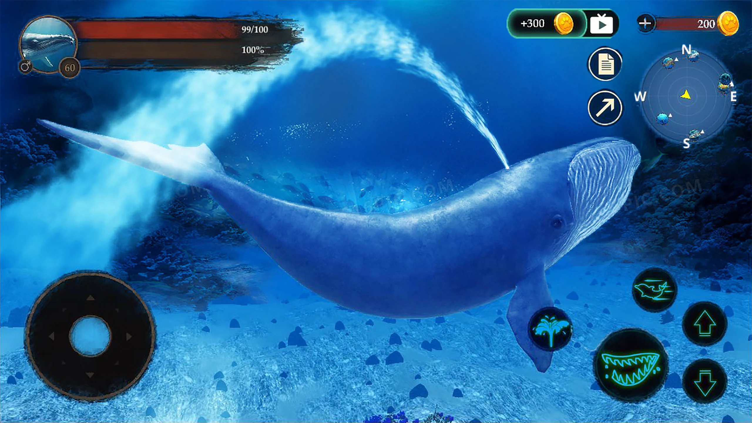 The Blue Whale Screenshot 11