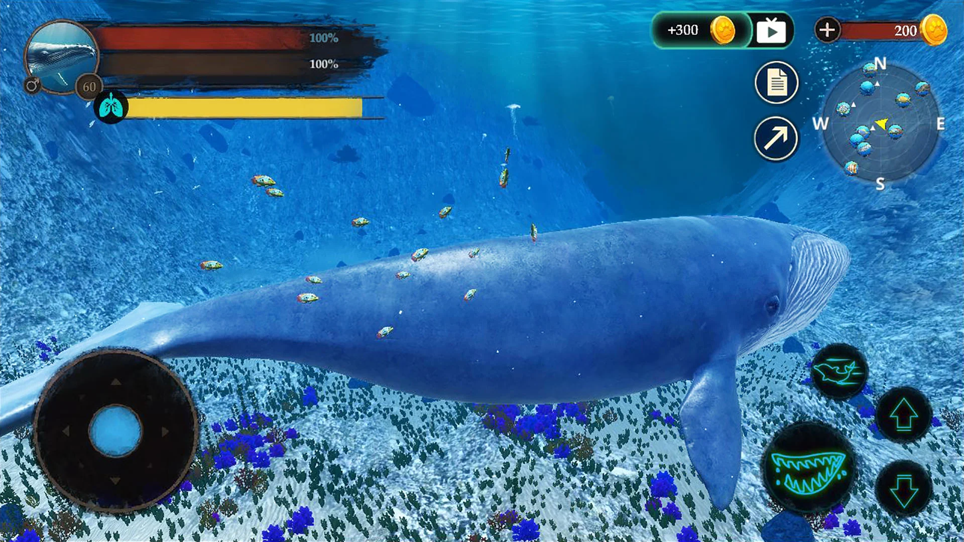 The Blue Whale Screenshot 4