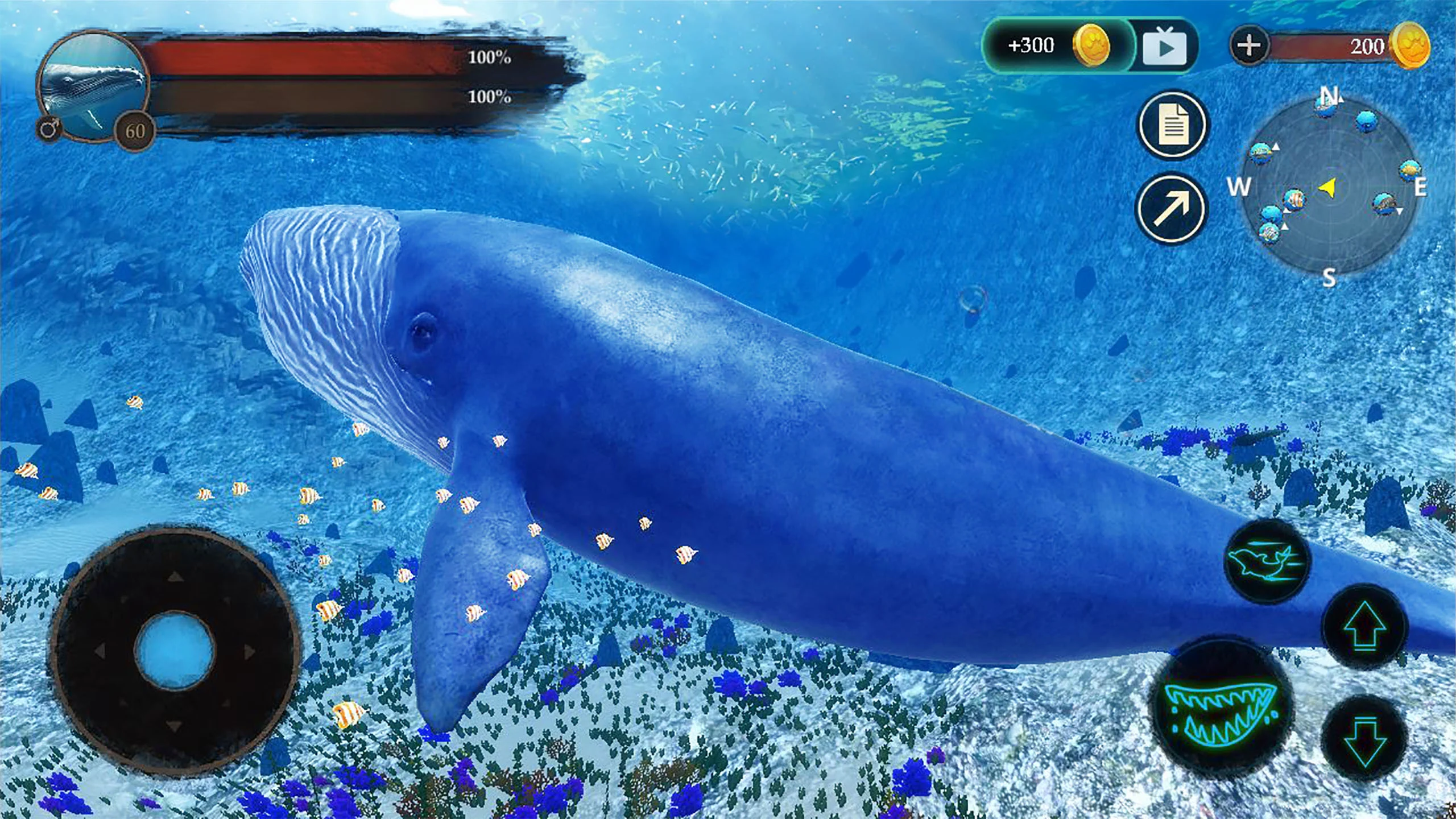 The Blue Whale Screenshot 8