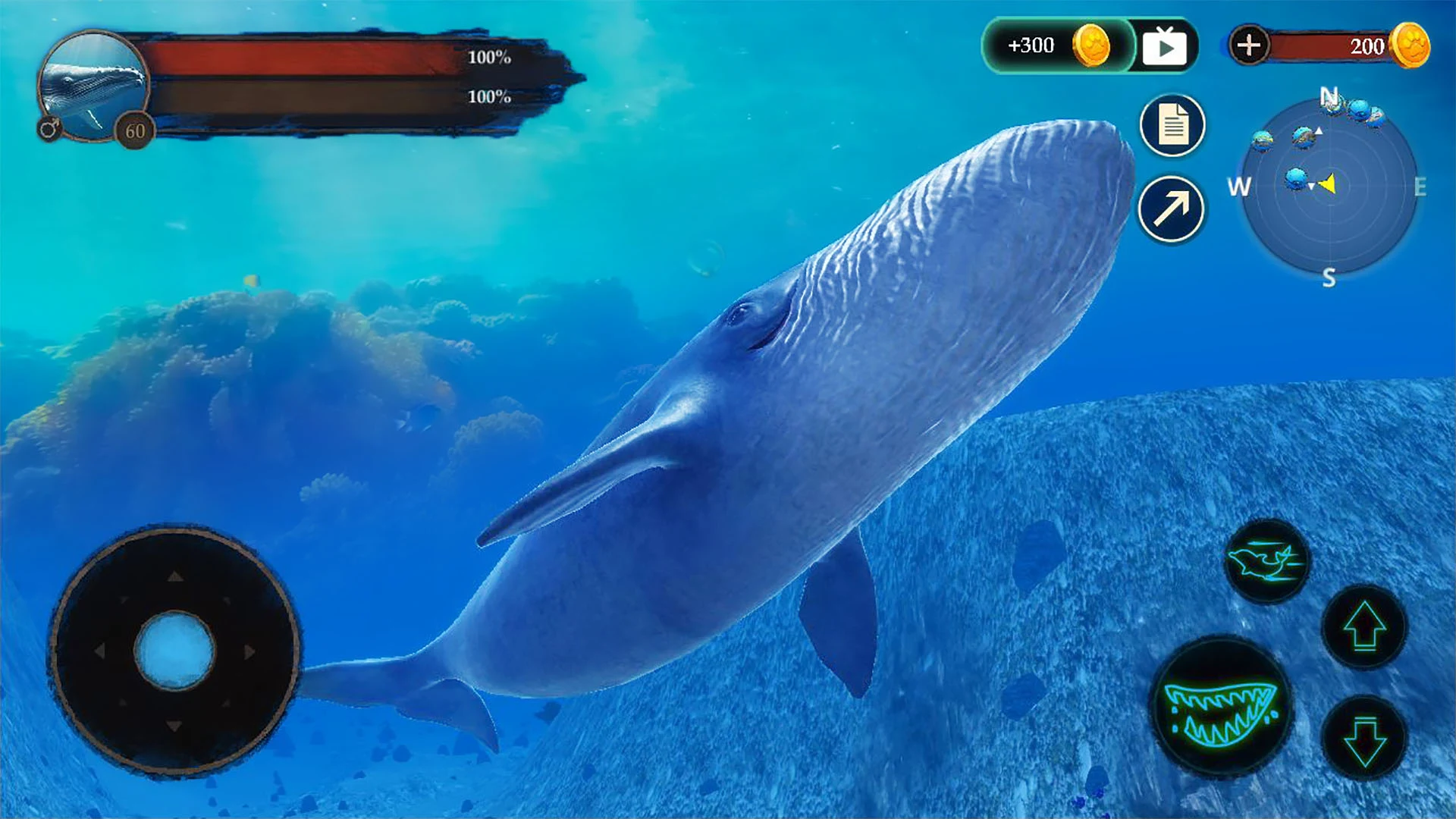 The Blue Whale Screenshot 3