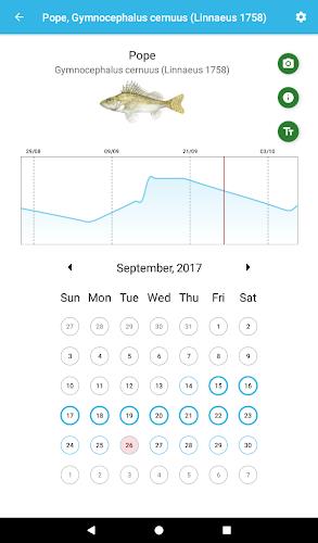 Fish Planet Calendar Screenshot 5