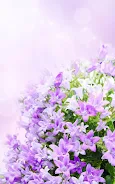 Lilac Flowers Live Wallpaper Screenshot 2