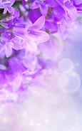 Lilac Flowers Live Wallpaper Screenshot 1