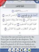 Quran Explorer Screenshot 16