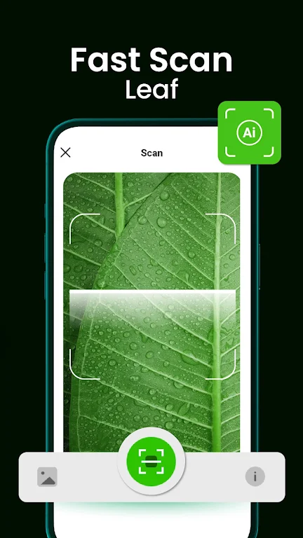 Bloomify - Plant Identifier Screenshot 2