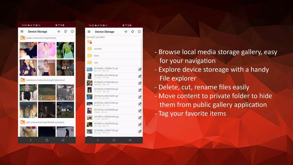 GIF Player - OmniGIF Screenshot 2
