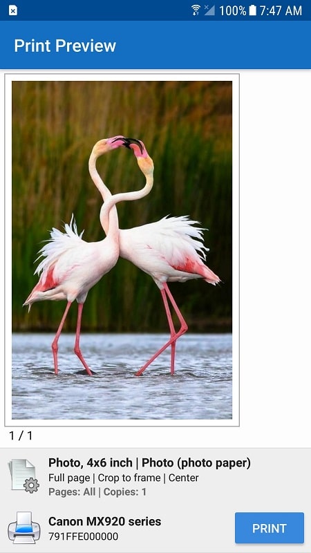 NokoPrint Screenshot 2