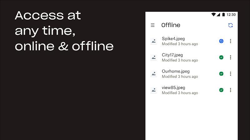 Dropbox: Cloud Storage Drive Screenshot 5