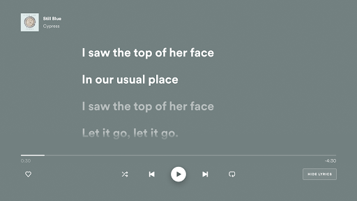 Spotify - Music and Podcasts Screenshot 3