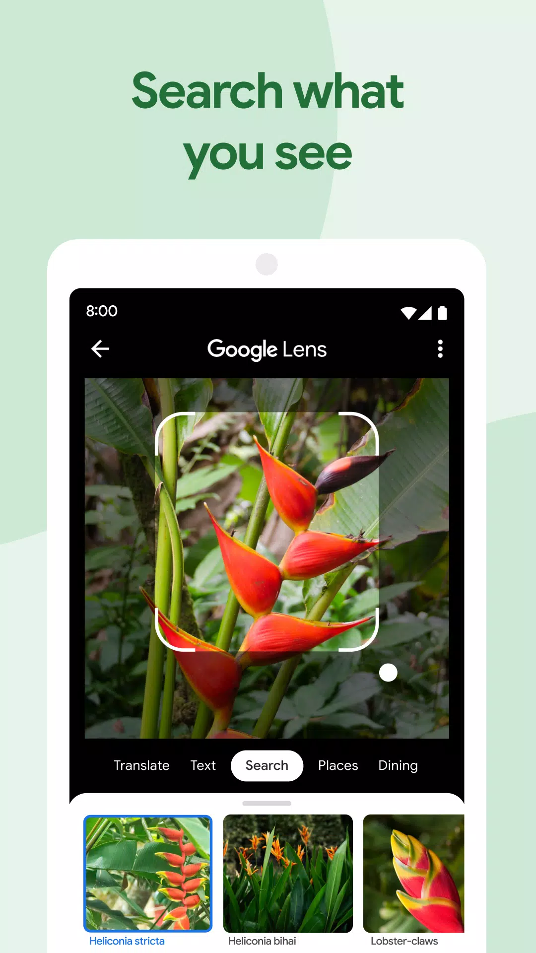 Google Photos Screenshot 1