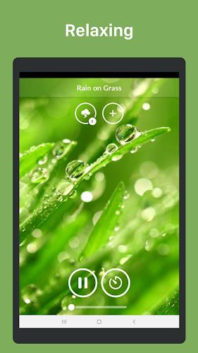 Nature Sounds Screenshot 20