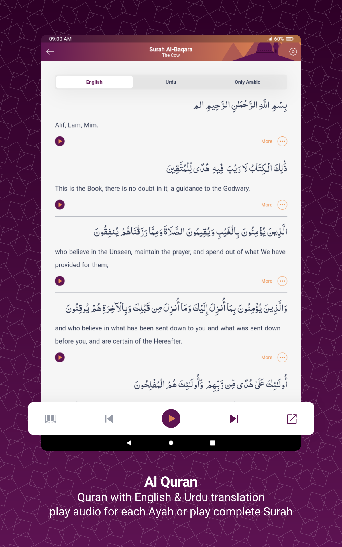 Shia Toolkit Screenshot 15