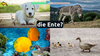 Learn Animals in German Screenshot 7