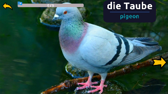 Learn Animals in German Screenshot 10