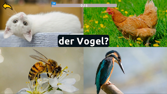 Learn Animals in German Screenshot 4