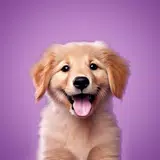 Pets & Puzzles APK