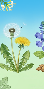 Herb Remedy Studio Screenshot 1