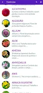 Florais de Saint Germain Screenshot 2